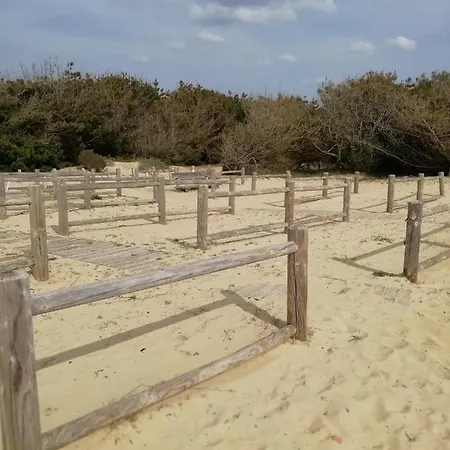 شقة Joli Appart. Entre Biarritz Et Bordeaux A