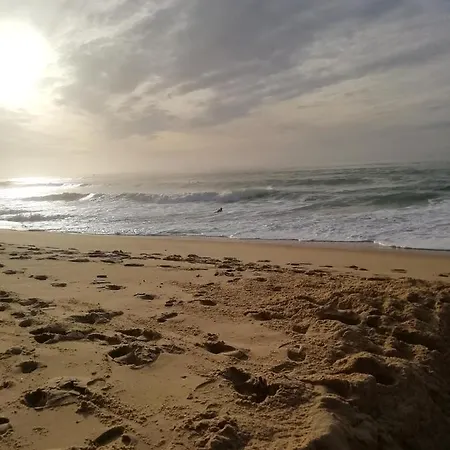 Joli Appart. Entre Biarritz Et Bordeaux A شقة