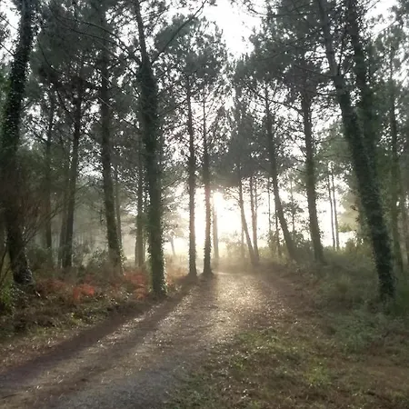 Joli Appart. Entre Biarritz Et Bordeaux A شقة